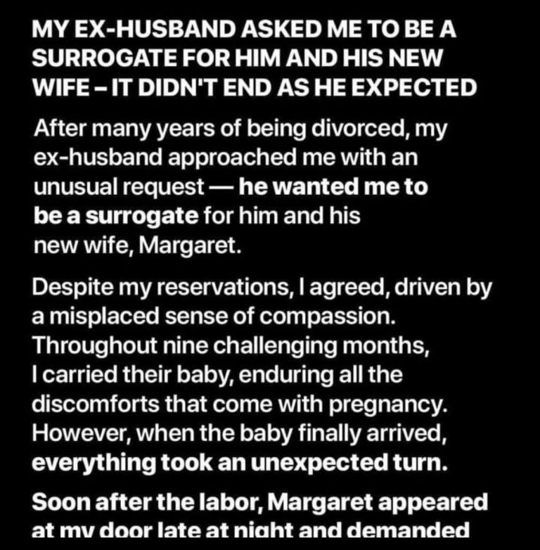 My Ex-Husband Asked Me to Be a Surrogate for Him and His New Wife – It Ended Not as He Expected