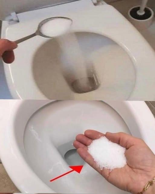 Put saIt in the toilet – This is something pIumbers wiII never teII you