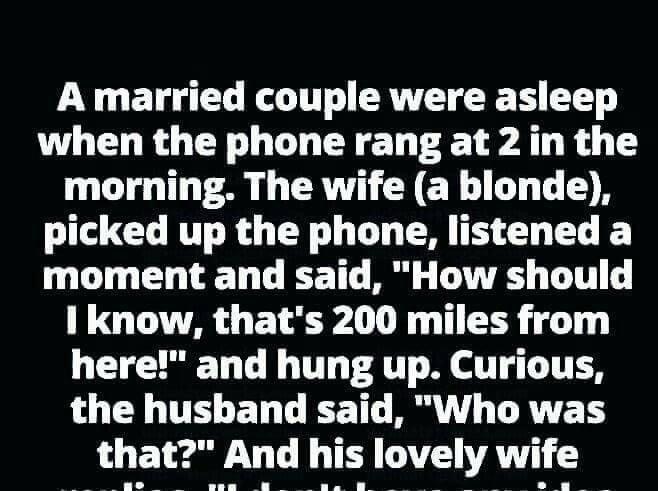 “Midnight Call Confusion That Will Leave You in Stitches!”