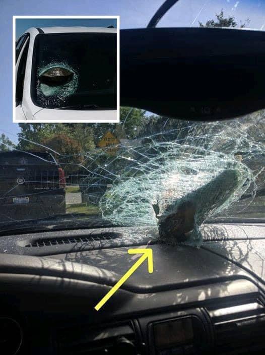 Woman Stunned After Realizing What Crashed Through Her Windshield below