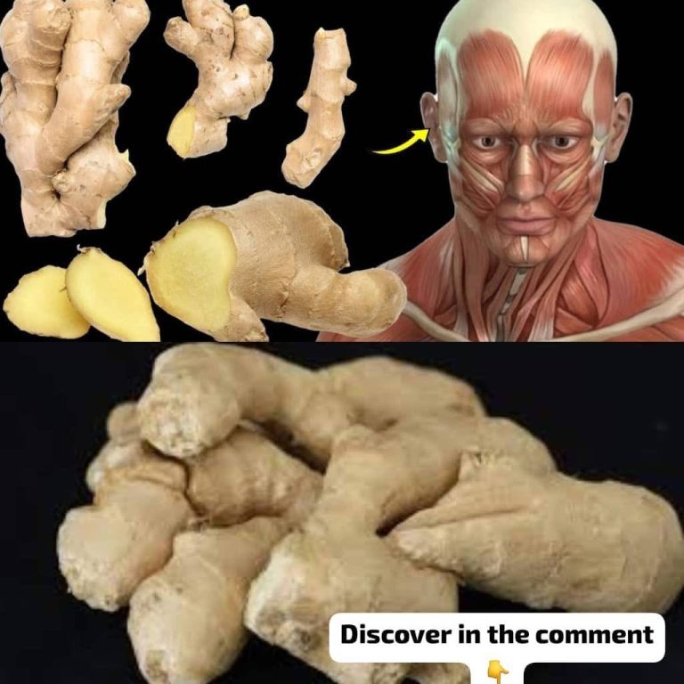 What Happens To Your Body When You Eat Ginger Everyday 😳 You better know it, ASAP!