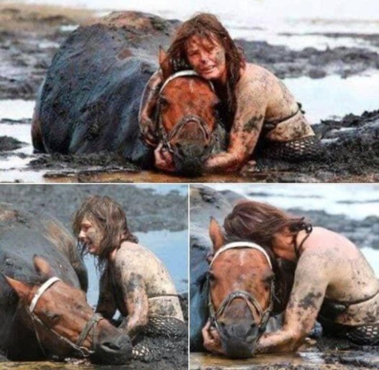 -For 3 hours a woman stays with trapped horse – then a farmer does everything he can to save its life!