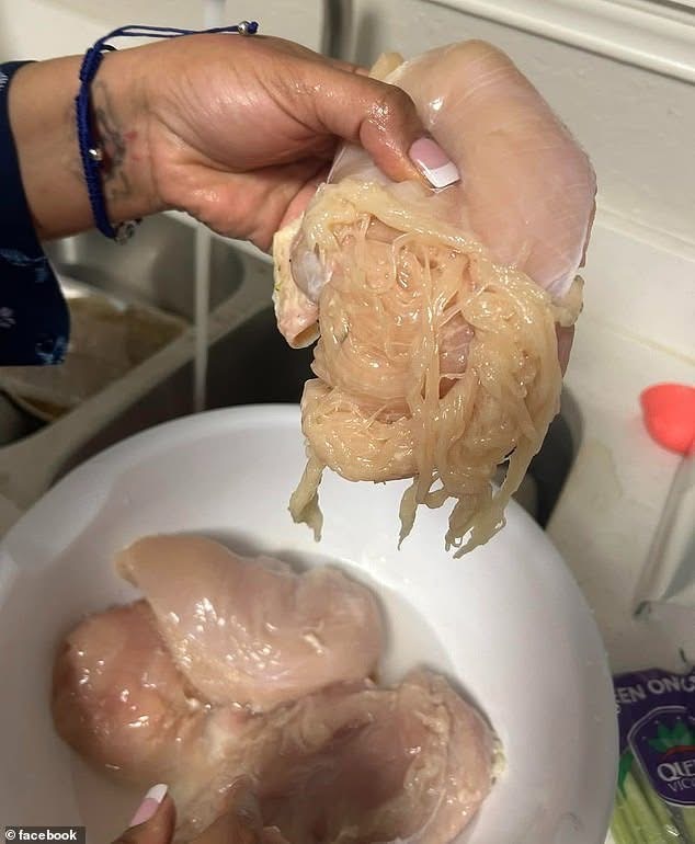 A Texas Mom Was Cooking Her Kids Dinner – After Cleaning Her Meat, She Was Shocked