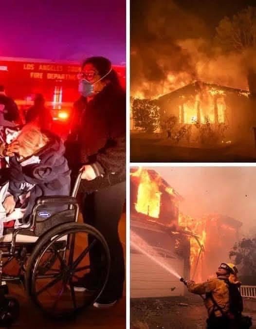 Palisades fire in Los Angeles caused