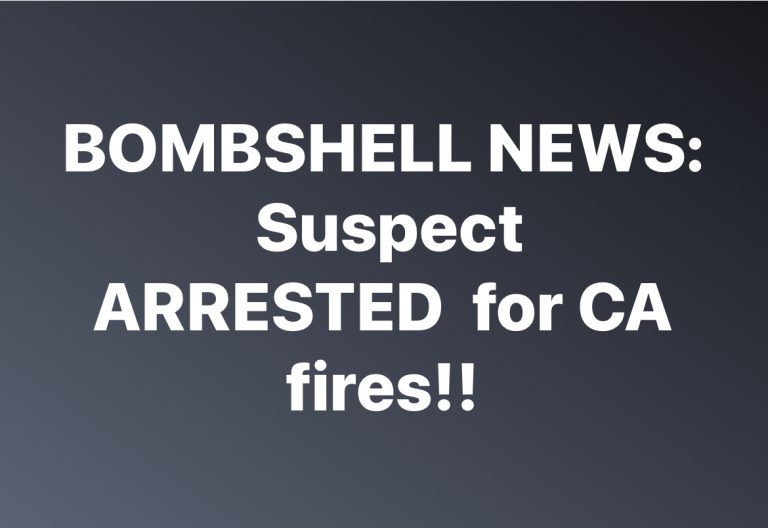NEW: LAPD Arrests Arson Su spect!!!
