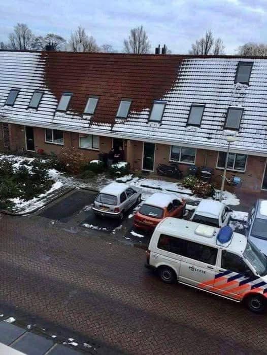 a neighbor observed that the snow!!!
