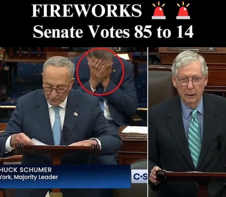 Some Dems Defect, Vote Against!