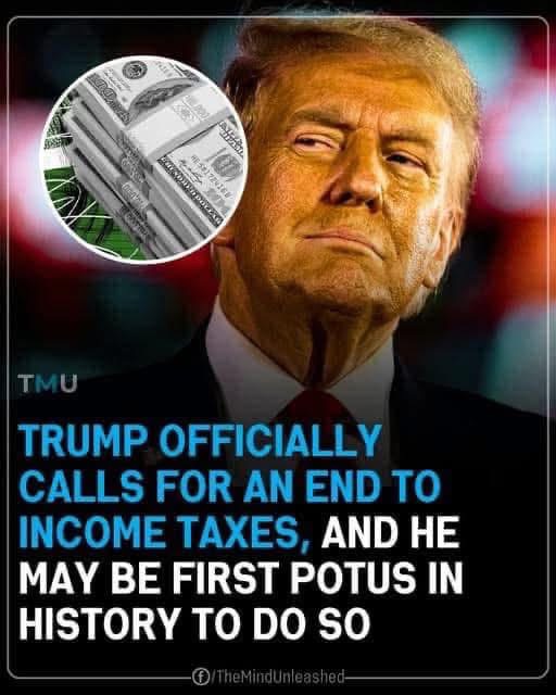 Americans may not have to pay income!
