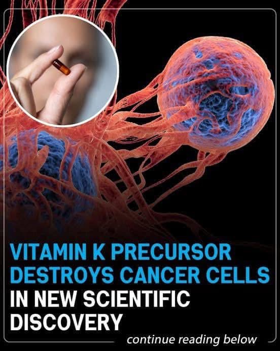 Vitamin K Precursor Destroys!!