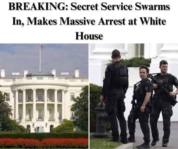 Secret Service Responds as Man Scales White House Fence in Security Breach!