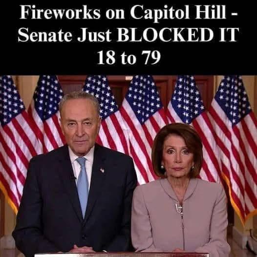 Senate Strikes Down Bernie Sanders!