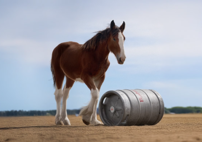 Budweiser’s Emotional New Clydesdale Super Bowl Ad Will Tug at Your Heartstrings!