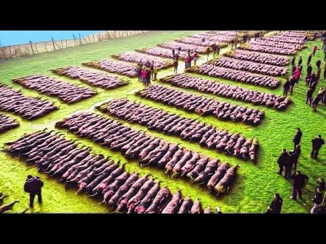 -Drone Footage Reveals-