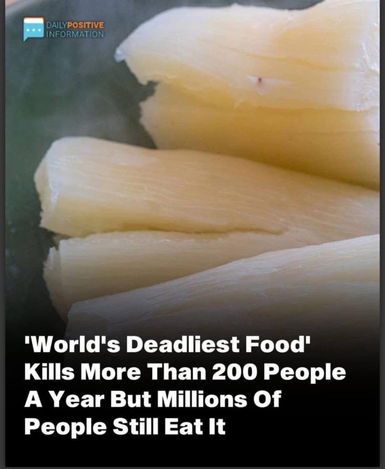 Over 200 People Are Killed By The