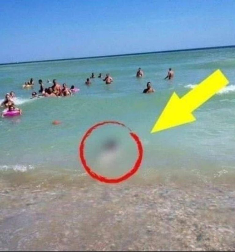 Shocking moment for tourists as something they did not expect got brought to shore!
