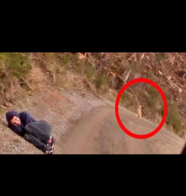 Woman lays motionless on the side of the road,the reason why will shock you!