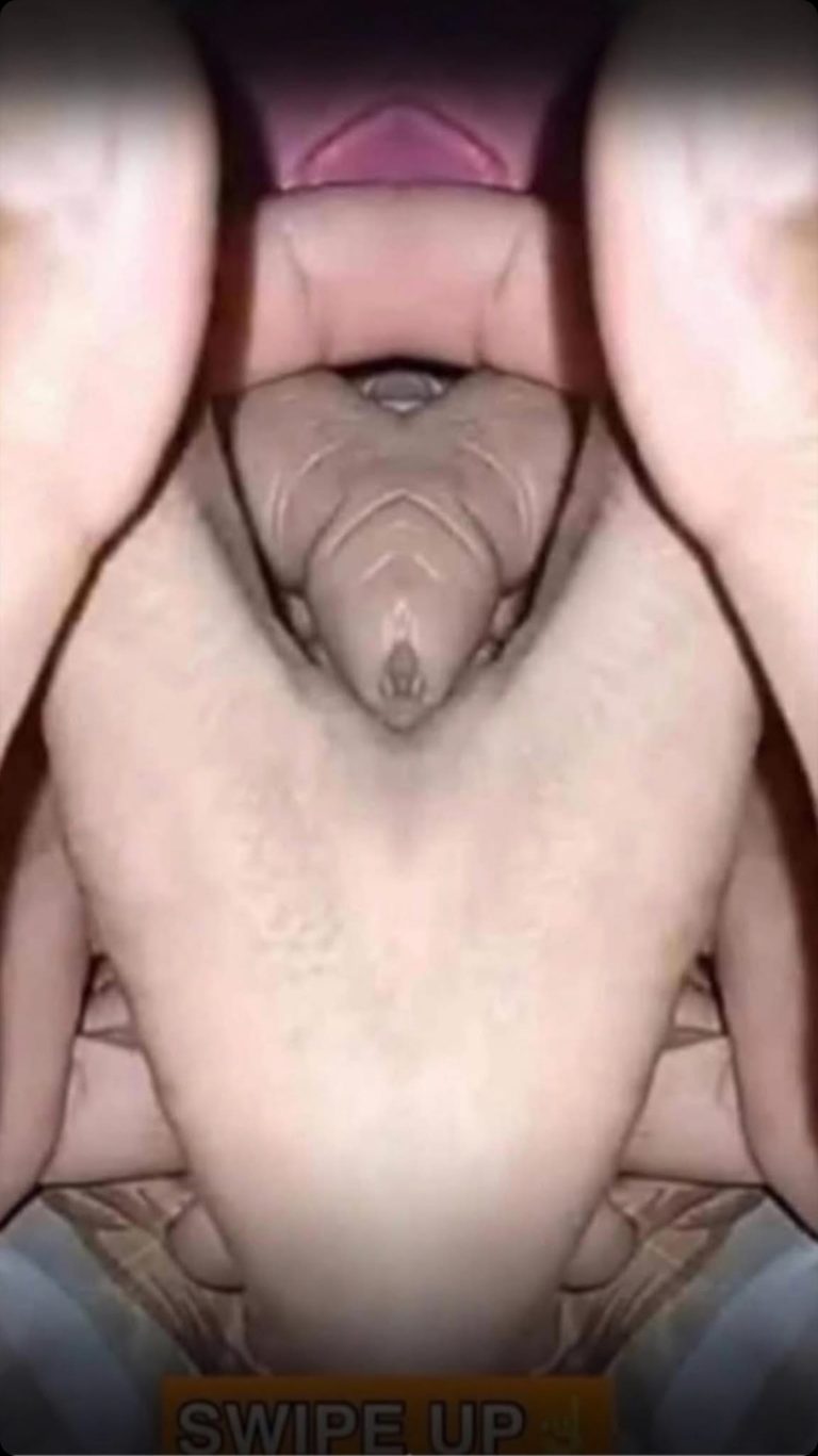 26 Pictures That Need A Second