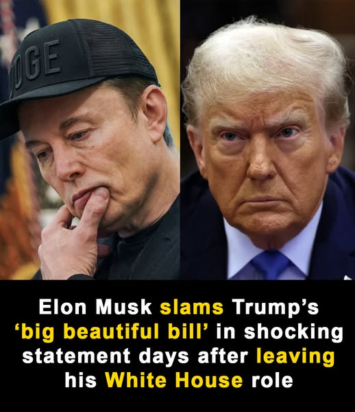 Musk goes off on Trump over extravagant federal spending bill