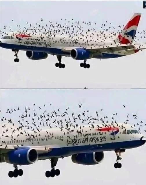 Pilot Reacted Emotionally When He…