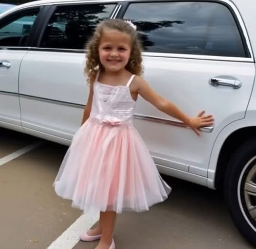 Mocked for Her Dress Until the Man in the Limousine Changed Everything