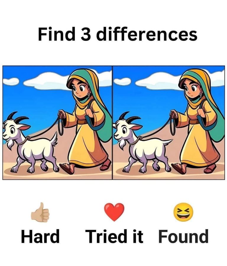 Let’s See How Quickly You Can Find the Differences!