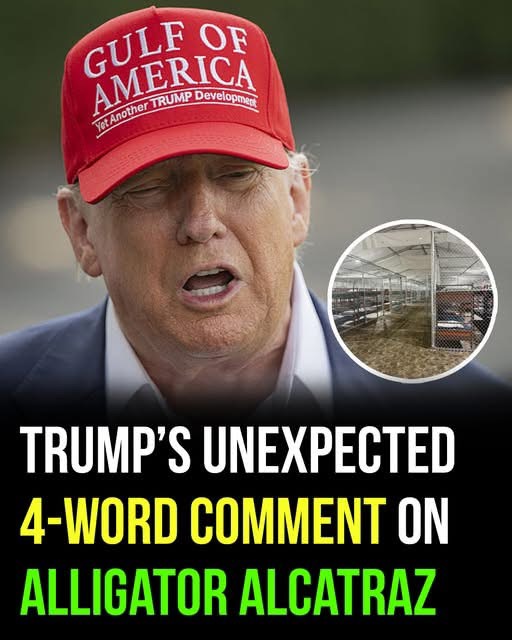 Trump delivers a surprising and sarcastic remark about Alligator Alcatraz
