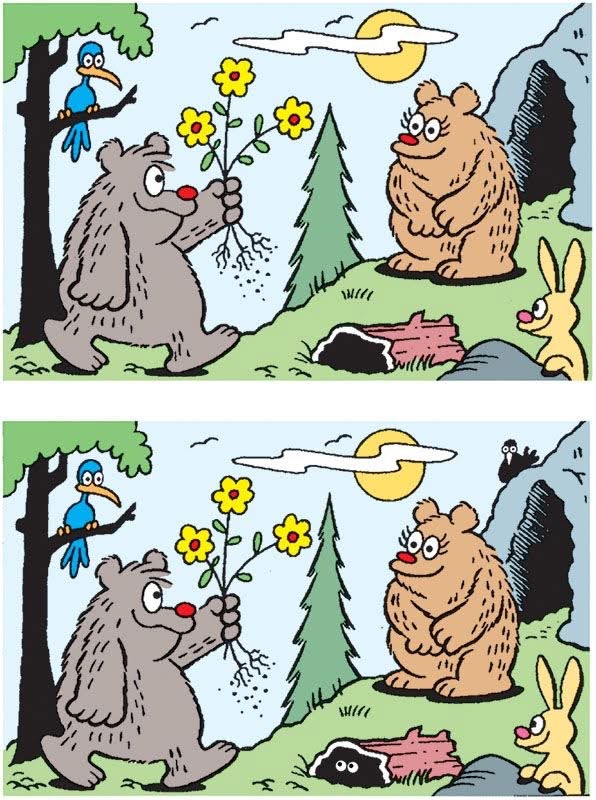 Flowers: Find 6 Differences