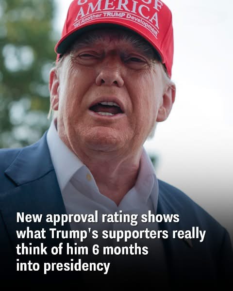 Latest Poll Reveals How Trump’s Base Views His Performance After 6 Months