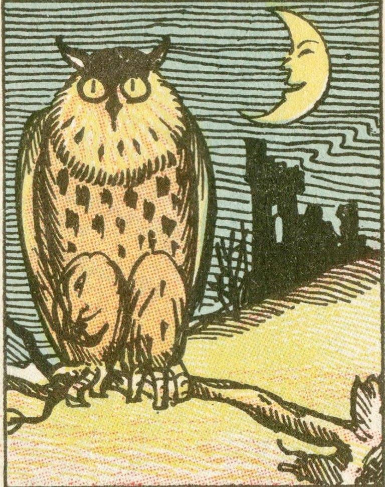 If you don’t see a person, then your vision is worse than an owl’s. Where is he?