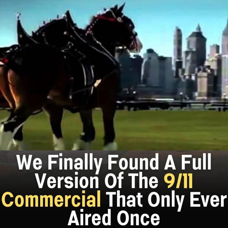 The Emotional Budweiser 9/11 Commercial That Only Aired Once—And Still Moves Viewers to Tears