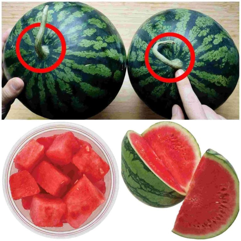 How to Choose the Sweetest Watermelon — No Guesswork Needed