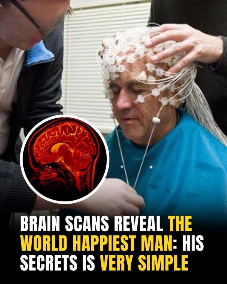 A Buddhist monk may have cracked the code to lasting joy — and it’s not what you think 👀 His secret is very simple, and it could change everything 👇