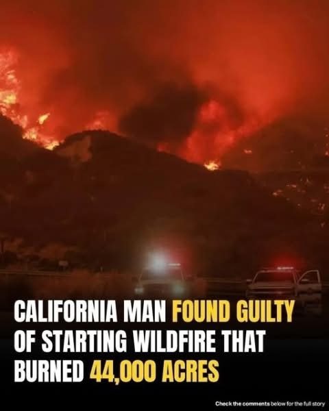 California Man Found Guilty of Starting Wildfire That Burned 44,000 Acres
