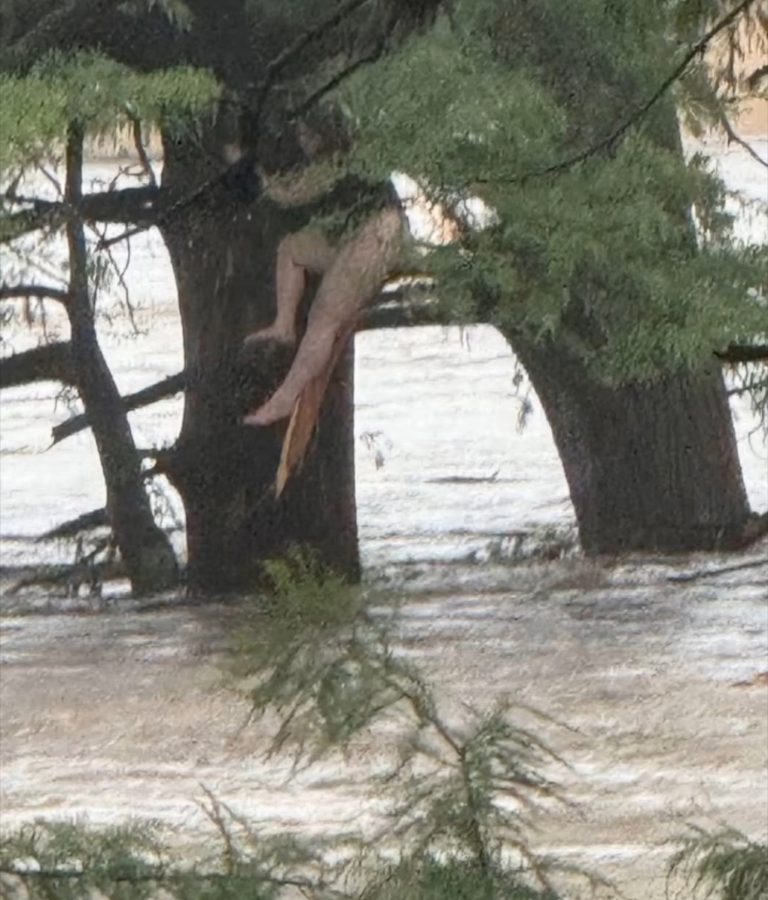 Breaking News: One of the missing camp gi