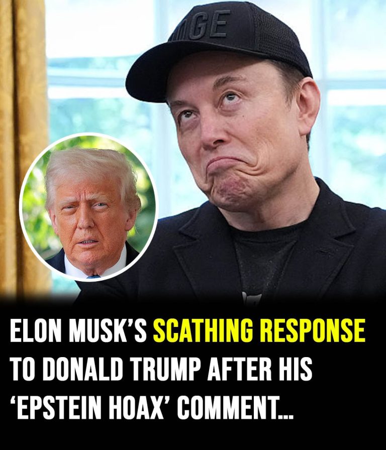 Elon Musk ridicules Donald Trump over his ‘Epstein hoax’ remark