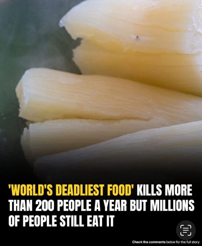 🛑 WARNING: “World’s Deadliest Food” Still Eaten by Millions! 🛑