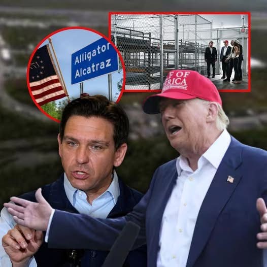 DHS has begun flying migrants out of Florida’s ‘Alligator Alcatraz,’ DeSantis announces