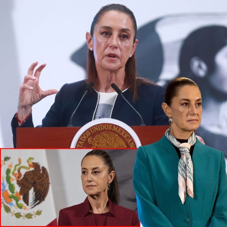President Claudia Sheinbaum May Sue ICE over Mexican Farmworker Who Lost His Life During Immigration Raid