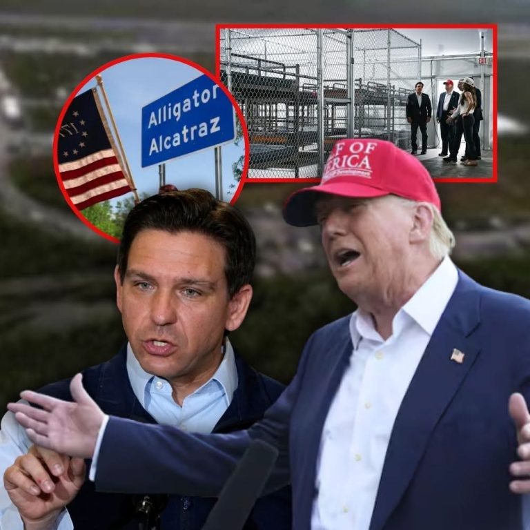 DHS has begun flying migrants out of Florida’s ‘Alligator Alcatraz,’ DeSantis announces