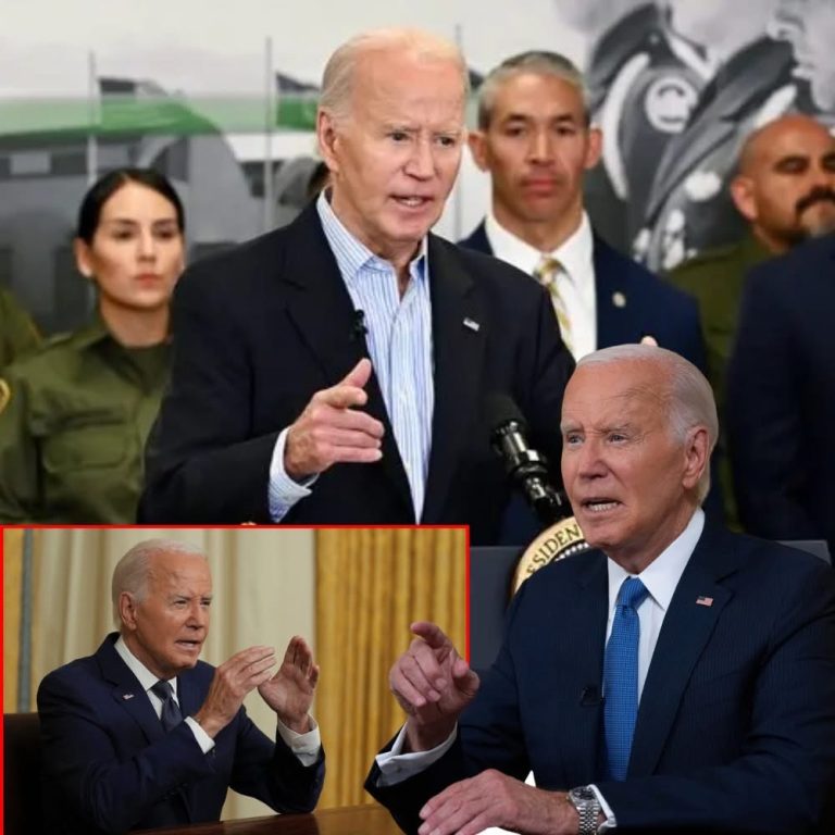 Survey: Majority Believe Biden Administration ‘Deliberately’ Left Border Open