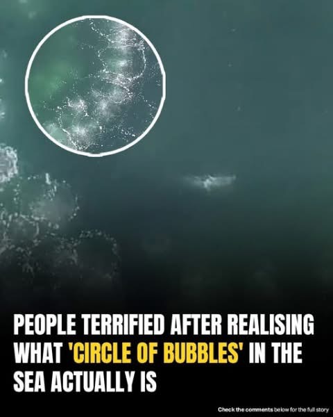 Terrifying Truth Behind Mysterious ‘Circle Of Bubbles’ In The Ocean Revealed