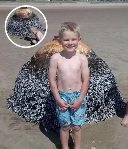 Dad Shares Innocent Photo Of His Son At Beach, Authorities Act Fast After Spotting Small Detail