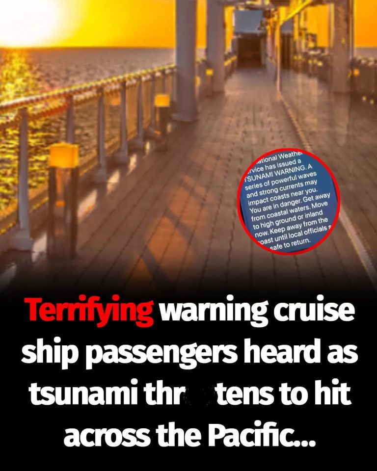 Traveler aboard cruise ship describes the alert passengers got about Hawaii tsunami