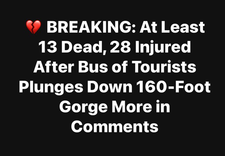 At Least 13 Dead, 28 Injured After Bus of Tourists Plunges Down 160-Foot Gorge
