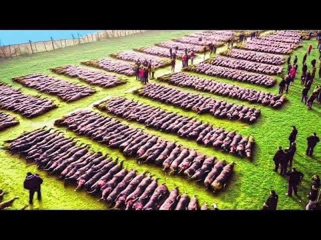 Drone Footage Reveals Astonishing Magnetic Field