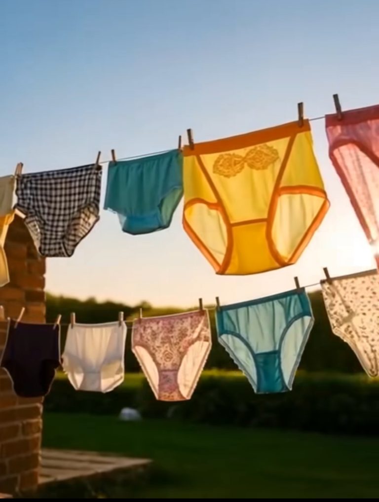 My Neighbor’s Laundry Hung Outside My Son’s Window, So I Taught Her a Hilarious Lesson