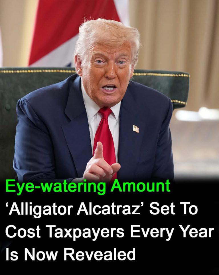 How much does Alligator Alcatraz cost taxpayers every year?