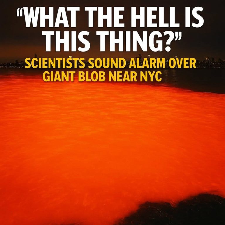 Scientists Discover 220-Mile-Wide “Hot Blob” of Magma Beneath East Coast — It’s Headed Toward NYC