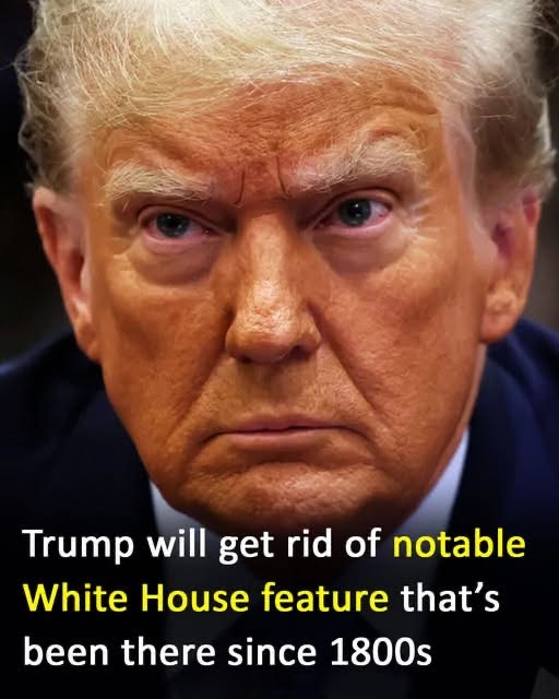 Trump Plans to Eliminate a Historic White House Feature from the 1800s