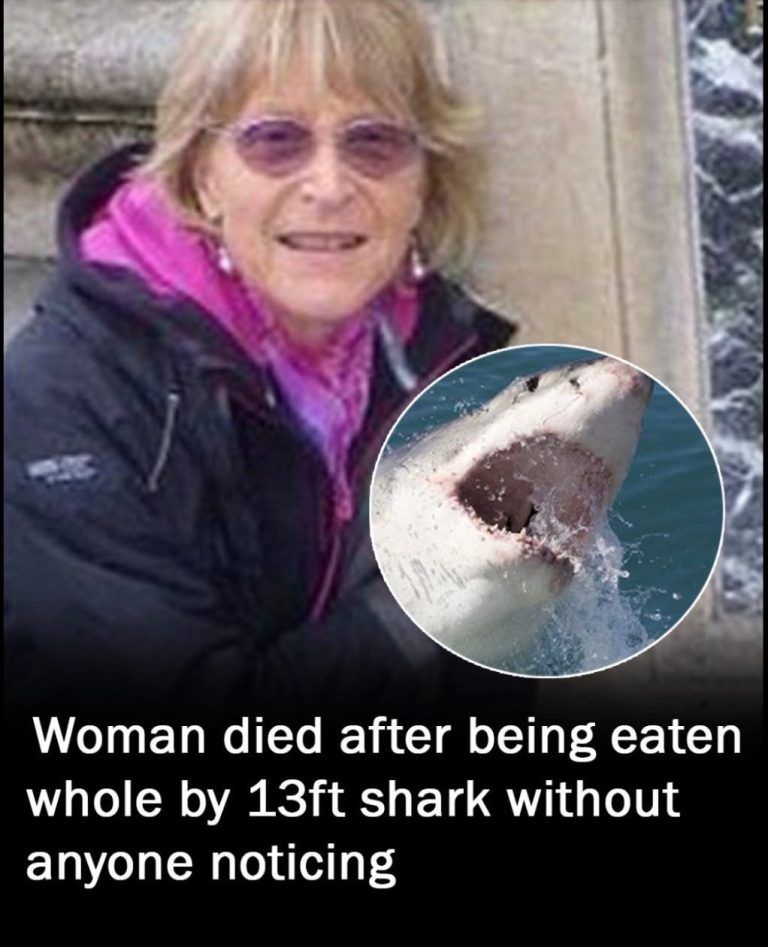 Tragedy at Sea: Woman Swallowed